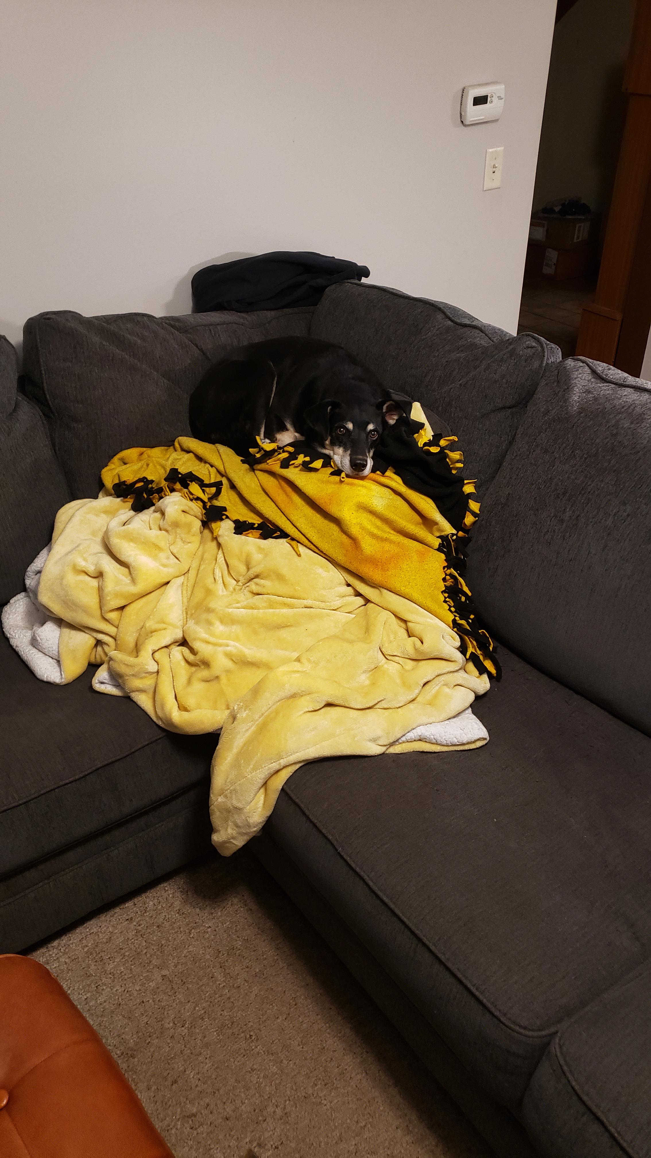 Saturdays Ukraine Solidarity Roundtable - 11092024 :  rEnough_Sanders_Spam