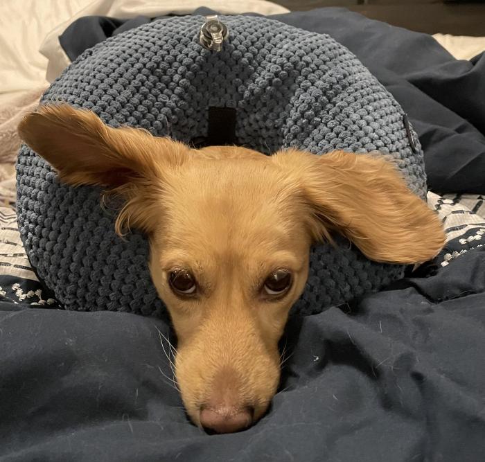 simplyallie