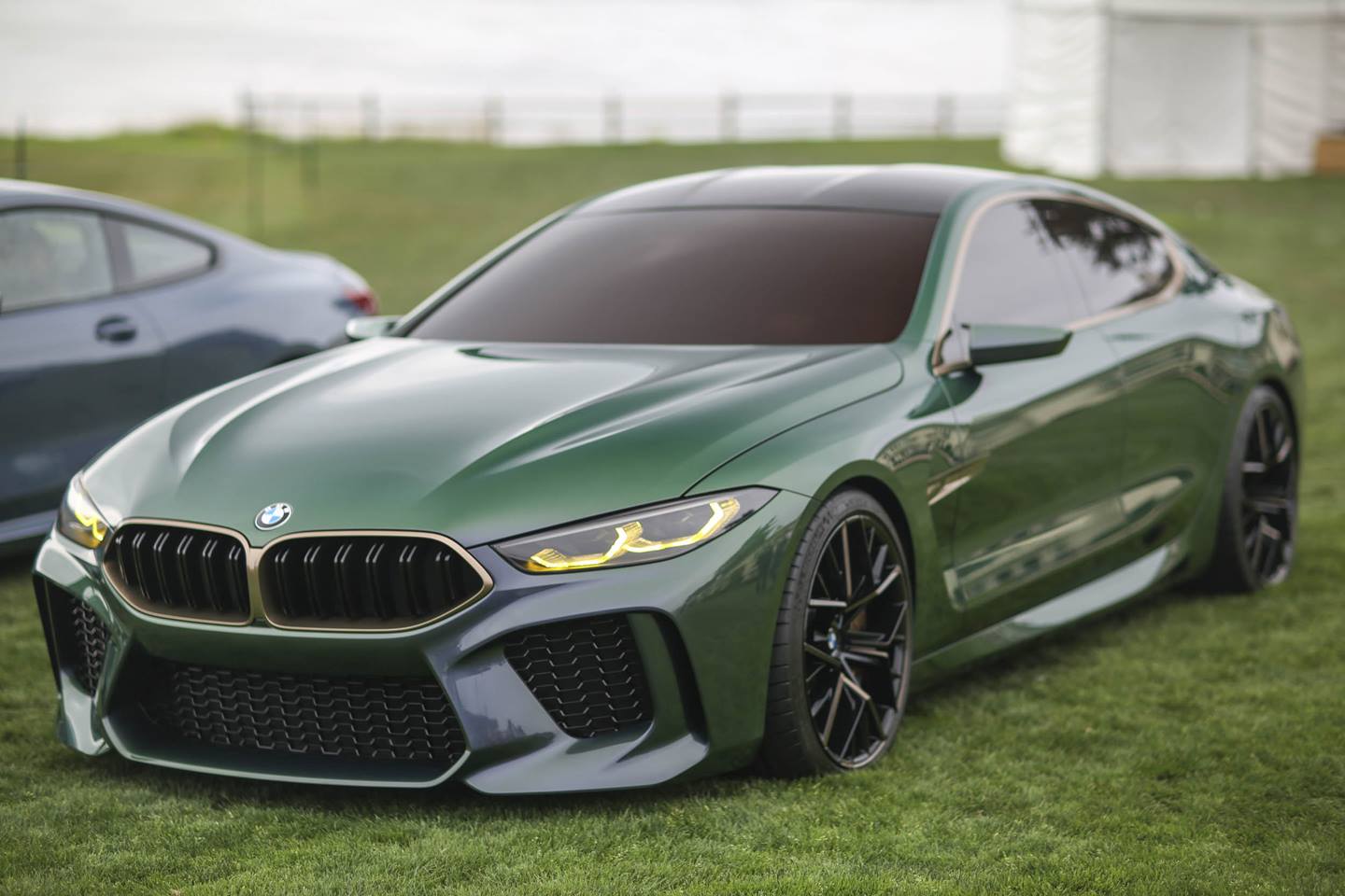 Bmw m8 gran coupe