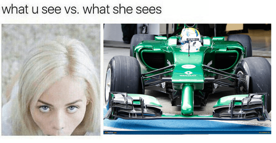 What Formula Dank Sees Formuladank