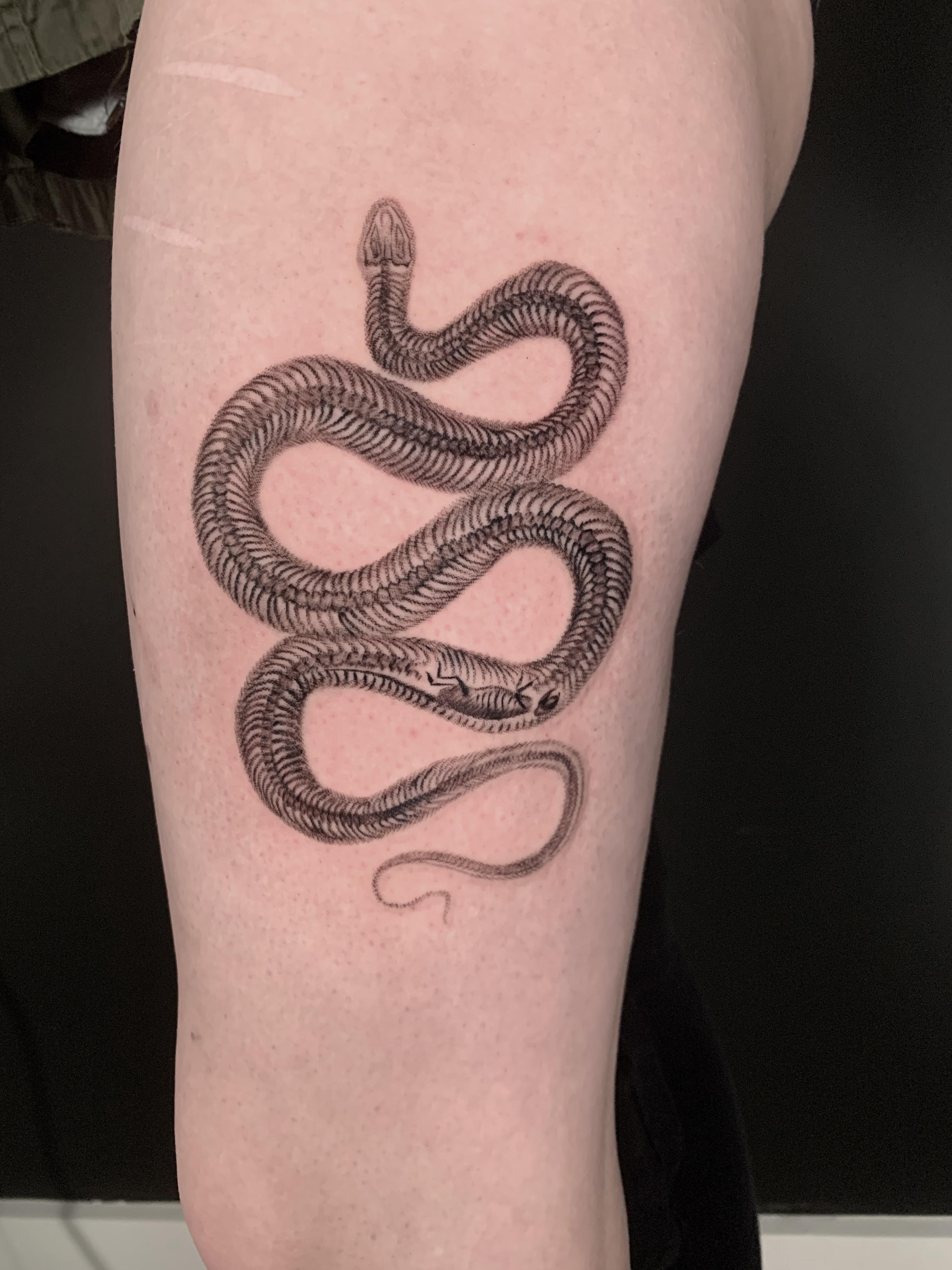 Some Snake Tattoos Done By Me : R/Snakes 4032_x_3024_jpg