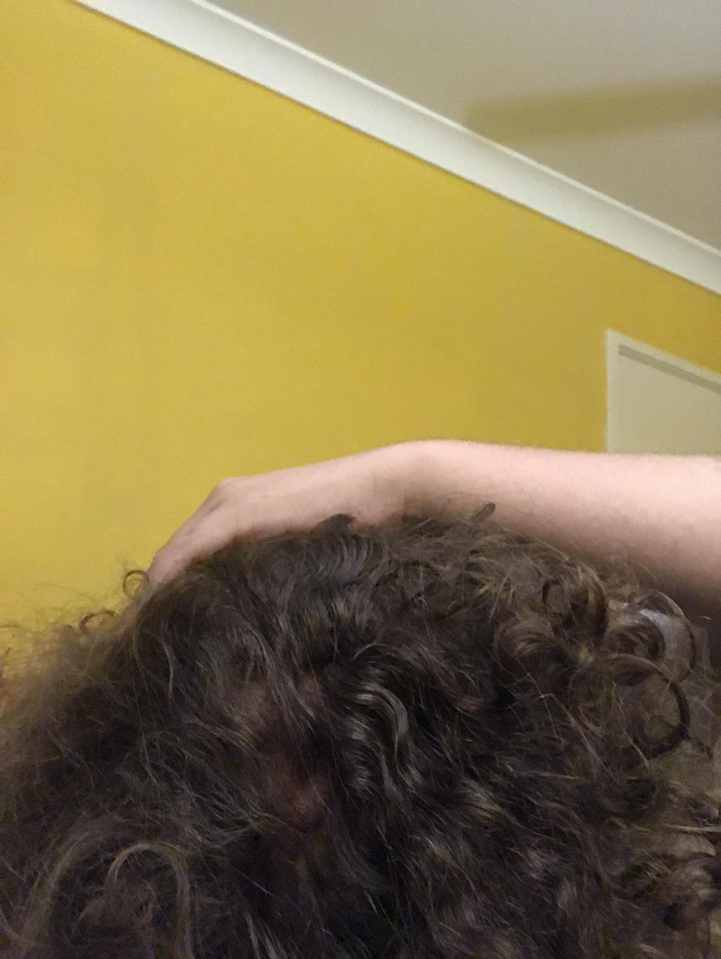 You're NOBODY! : r/NeebsGaming