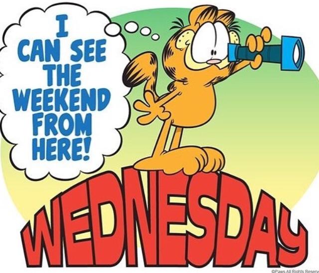 Quotes funny images pictures 2013. Happy Hump Day Garfield