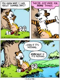 Summer Days…