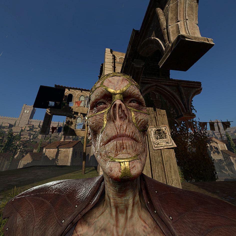 As promised, heres the VA for Withers begging us to stop putting tits on  him : rokbuddybaldur