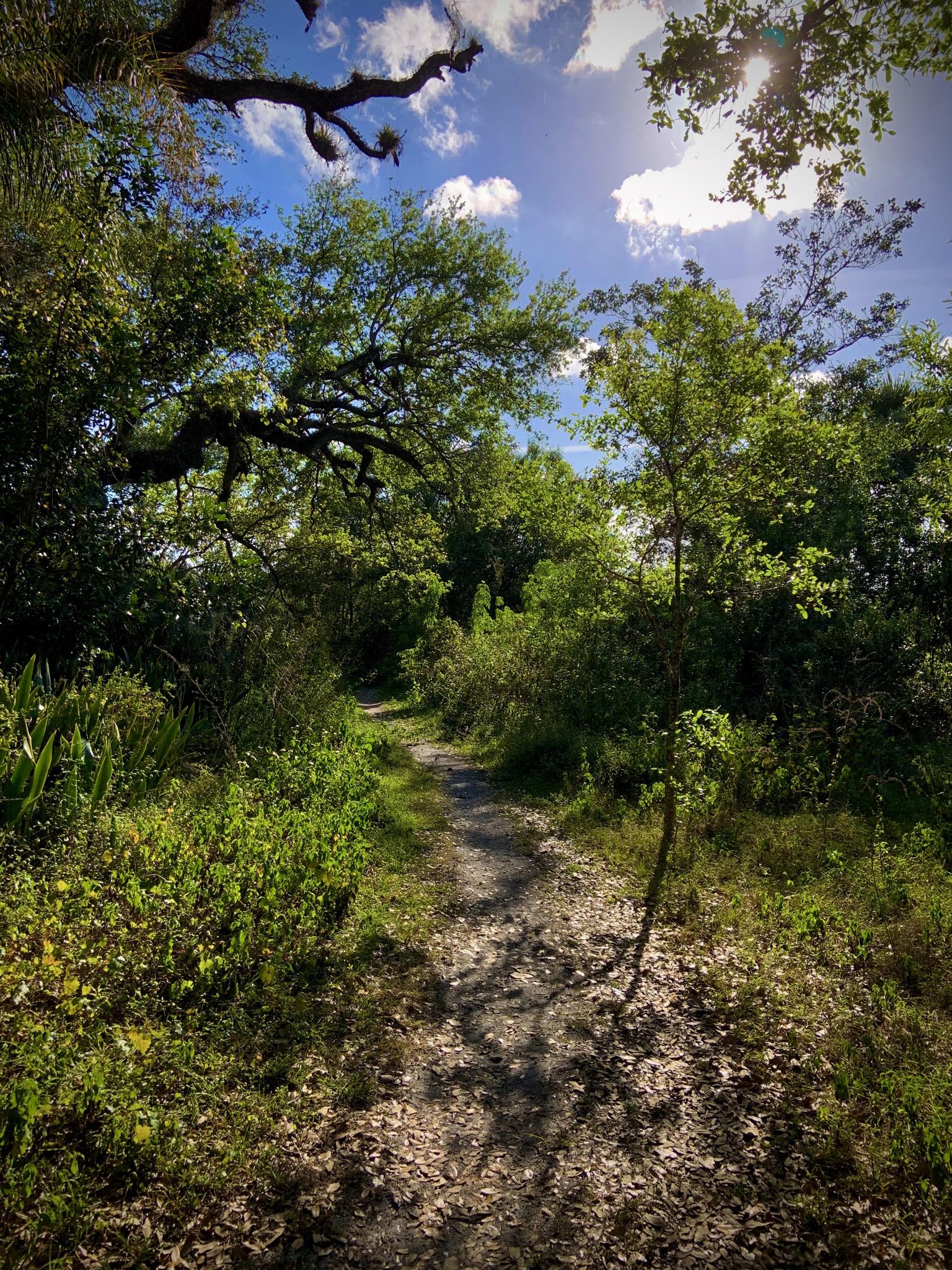 Tree Tops Park Davie Florida Hikes
