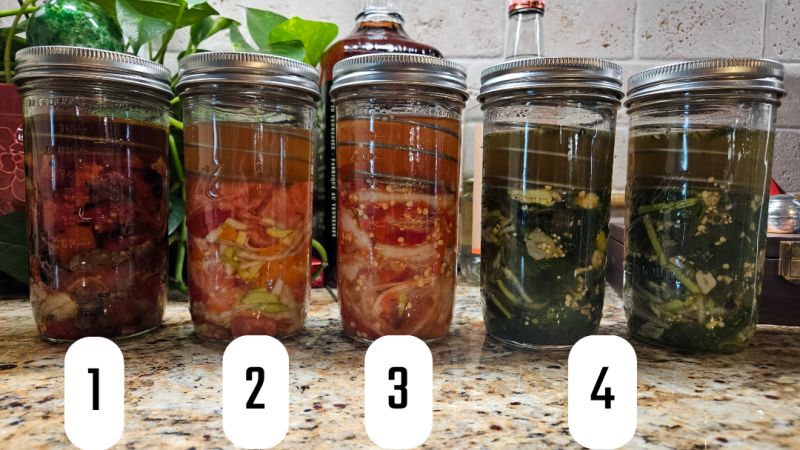 Fermentation Fun R Fermentation - Mobile Dark Pictures for Desktop