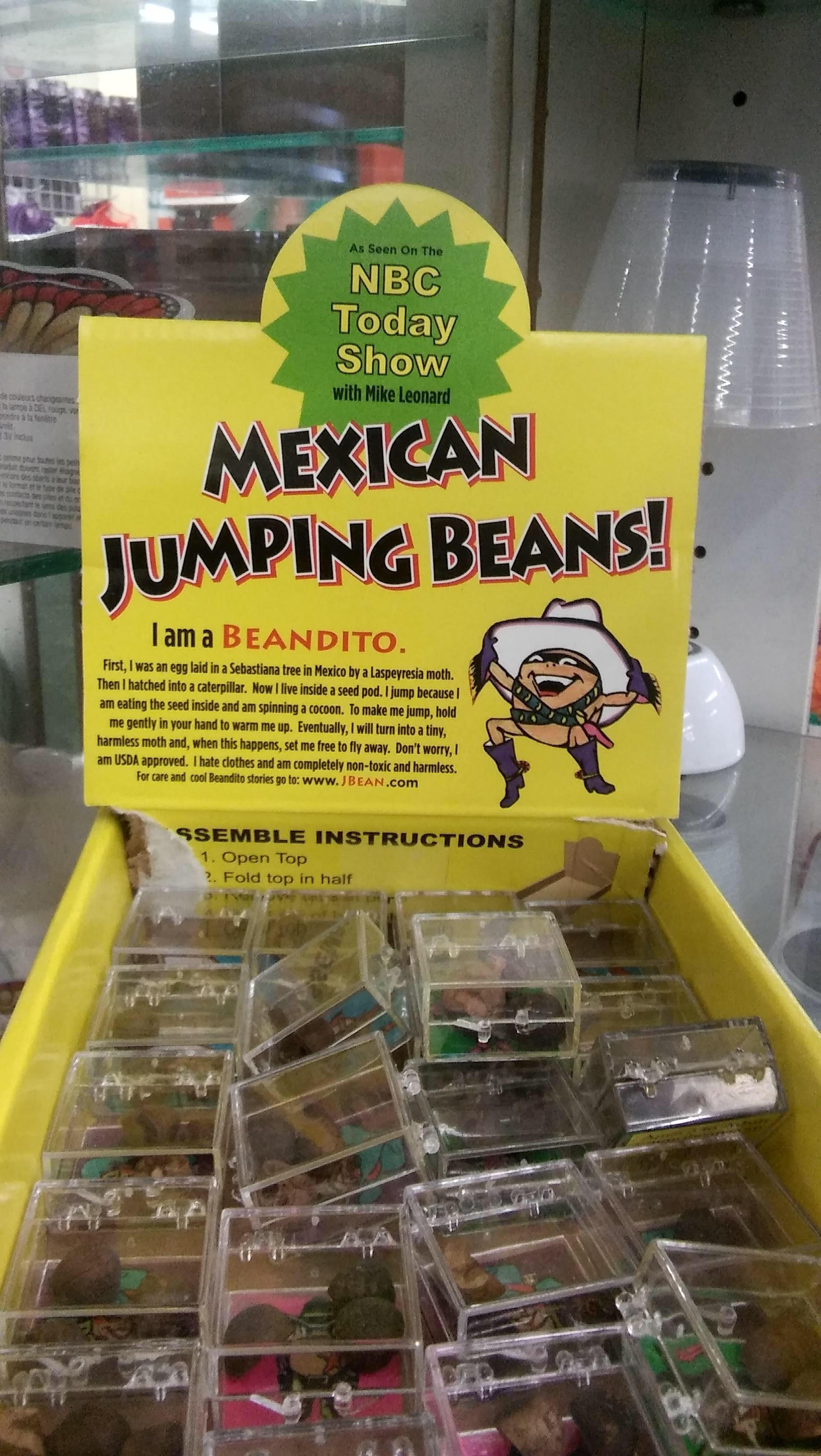 Who else was obsessed with Mexican jumping beans as a kid? 😂 : rXennials