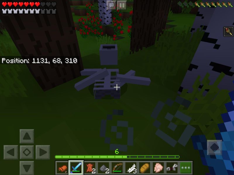 Found This Skeleton While Messing Around R Minecraft - High Quality Nature Art - High Resolution