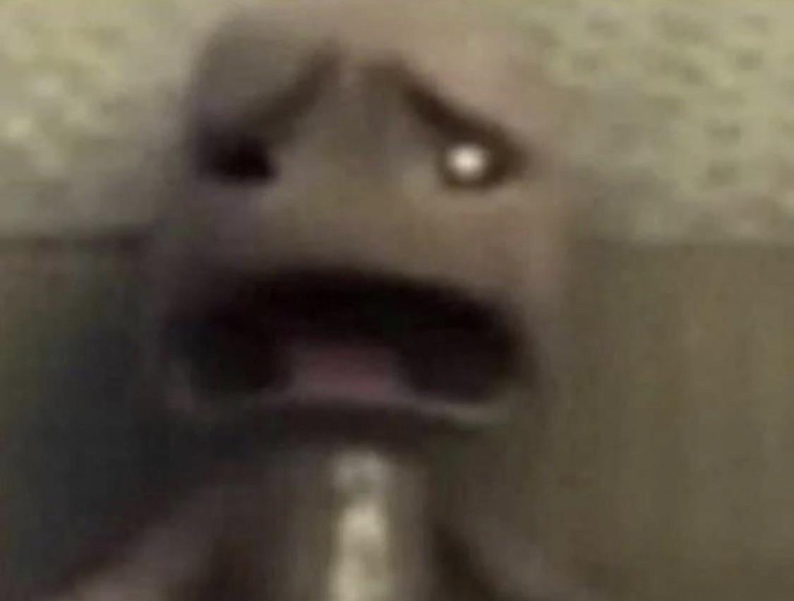 WHHHYYYYYYY : rMemeVideos