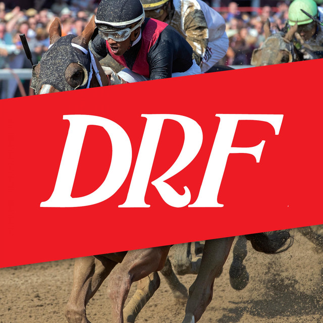 Daily racing form on spotify