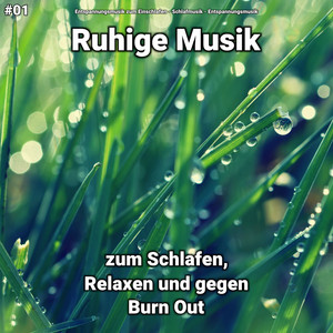 Das gemütliche timbre des e. Schweigen in der Flora - song by Entspannungsmusik zum