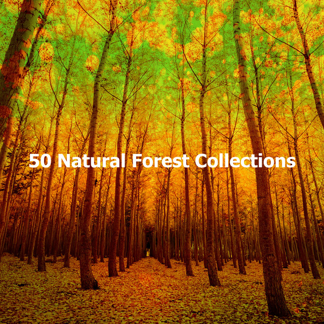 50 natural forest collections