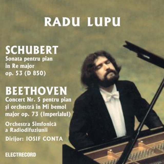 53, known as the gasteiner, was written in 1825, while the composer was staying in the spa town of bad . Key Bpm For Sonata Pentru Pian In Re Major Op 53 D 850 Fr Schubert Rondo Allegro Moderato By Radu Lupu Tunebat
