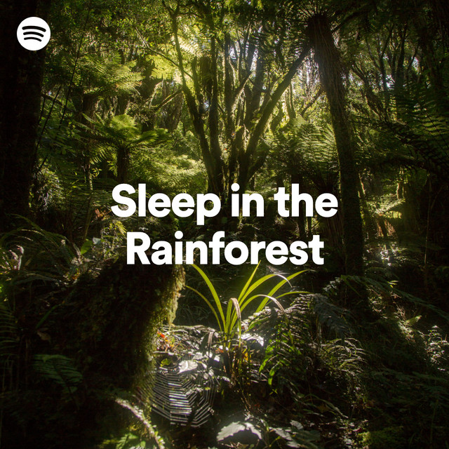 By kelley hoffman everyday, more and more inspiring sites keep popping up across the globe. Sleep In The Rainforest Spotify Playlist