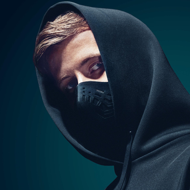 Nous travaillons avec la maison bergan depuis l'ouverture de notre meublé de tourisme les sarments, classé 5 étoiles, en 2019. Alan Walker on Spotify