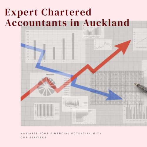 Chartered accountants: pioneering auckland's financial revolution