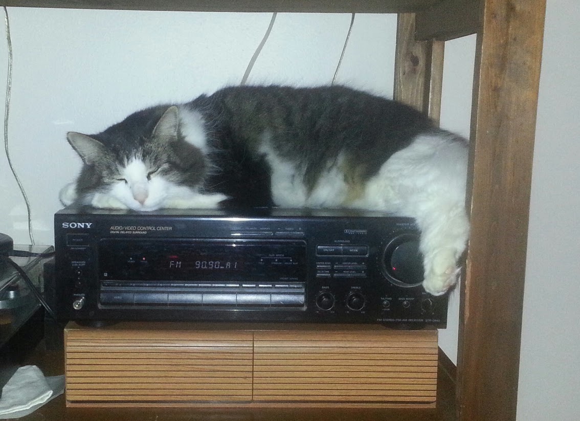 Sql Error Message Provider Shared Memory Provider Error 0 No