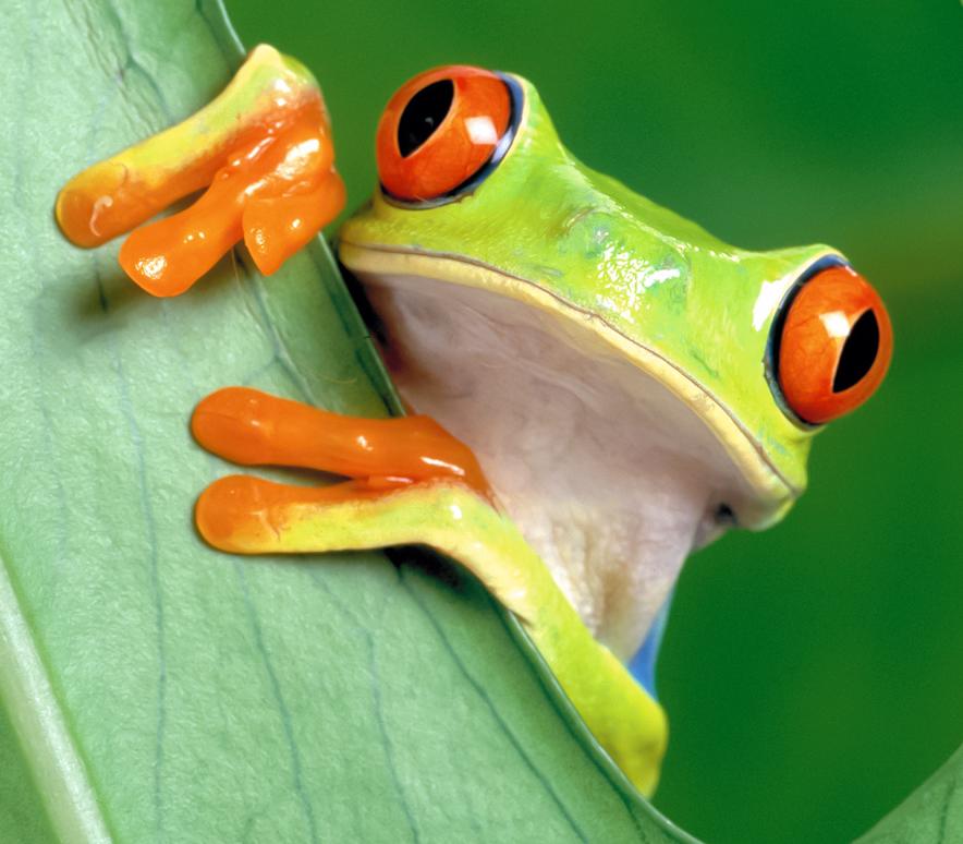 Encryption Encrypting Decrypting A String In C Stack Overflow