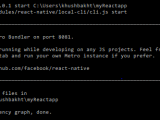 Reactjs React Native Expo Installation Npm Start Stack Overflow