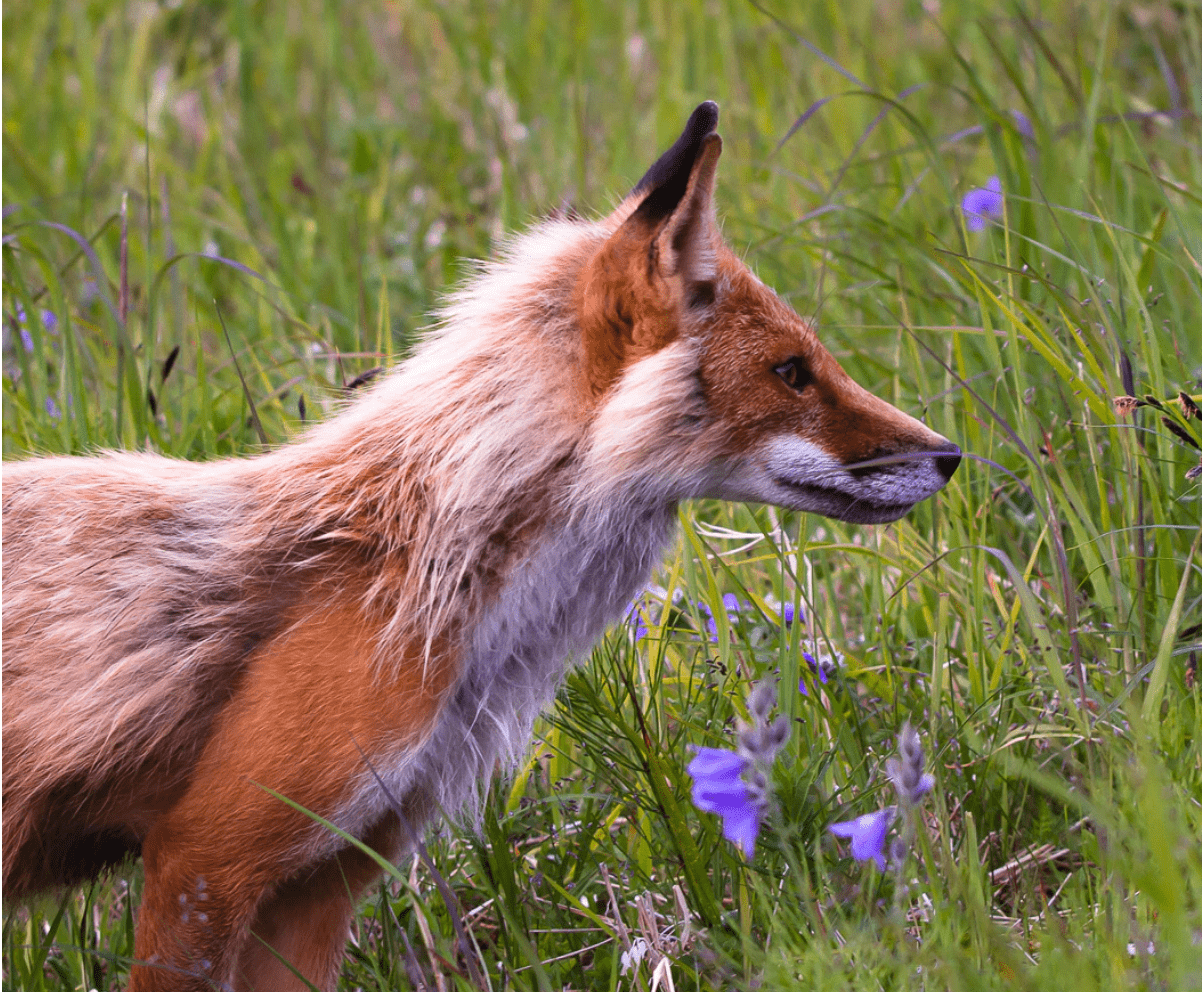 Python Locale Error Unsupported Locale Setting Stack Overflow