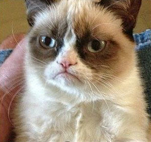 Vb Net Function Return Stack Overflow