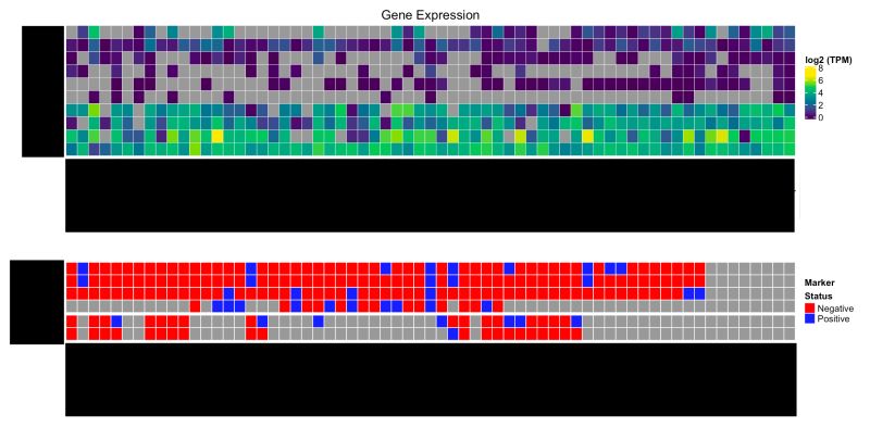 Plot Heat Map Of Ensemble Model Output Plot Heatmap Lakeensemblr - Best Vintage Backgrounds in Full HD