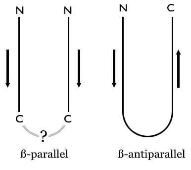 Parallel Beta Pleated Sheets Vs Antiparallel Beta Pleated Sheets What - Download Modern Ocean Pattern | High Resolution