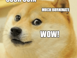 Such Dogecoin Much Burninate Wow Meta Stack Overflow