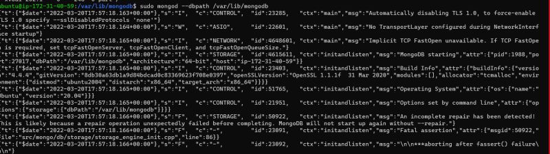 How To Repair Mongodb Database Delft Stack - Best Sunset Arts in Desktop