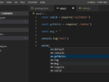 Install Npm In Visual Studio Code Leochris