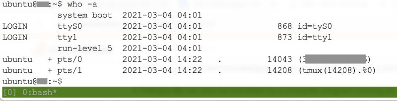 C What Do Pty And Tty Mean Stack Overflow - Landscape Images - Premium Desktop Collection