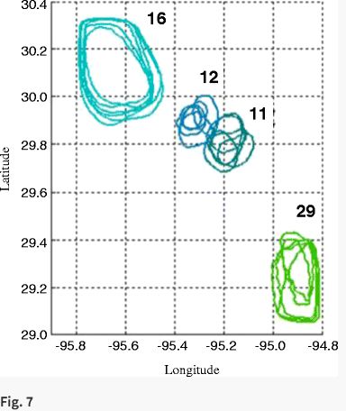 Algorithm Polygon Clusters From List Of Polygon Neighbors Stack - HD Colorful Designs for Desktop