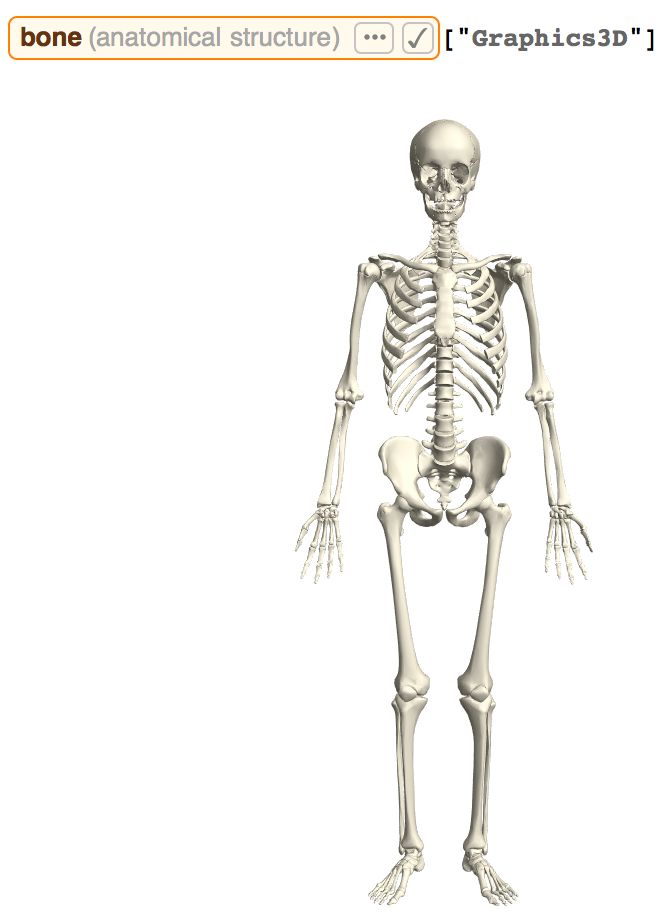 Skeleton From Wolfram Mathworld - Best Abstract Pictures in HD