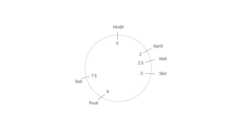 Restriction Mapping Sample Problem Pdf Plasmid Molecular Biology - Premium Nature Art Gallery - Retina