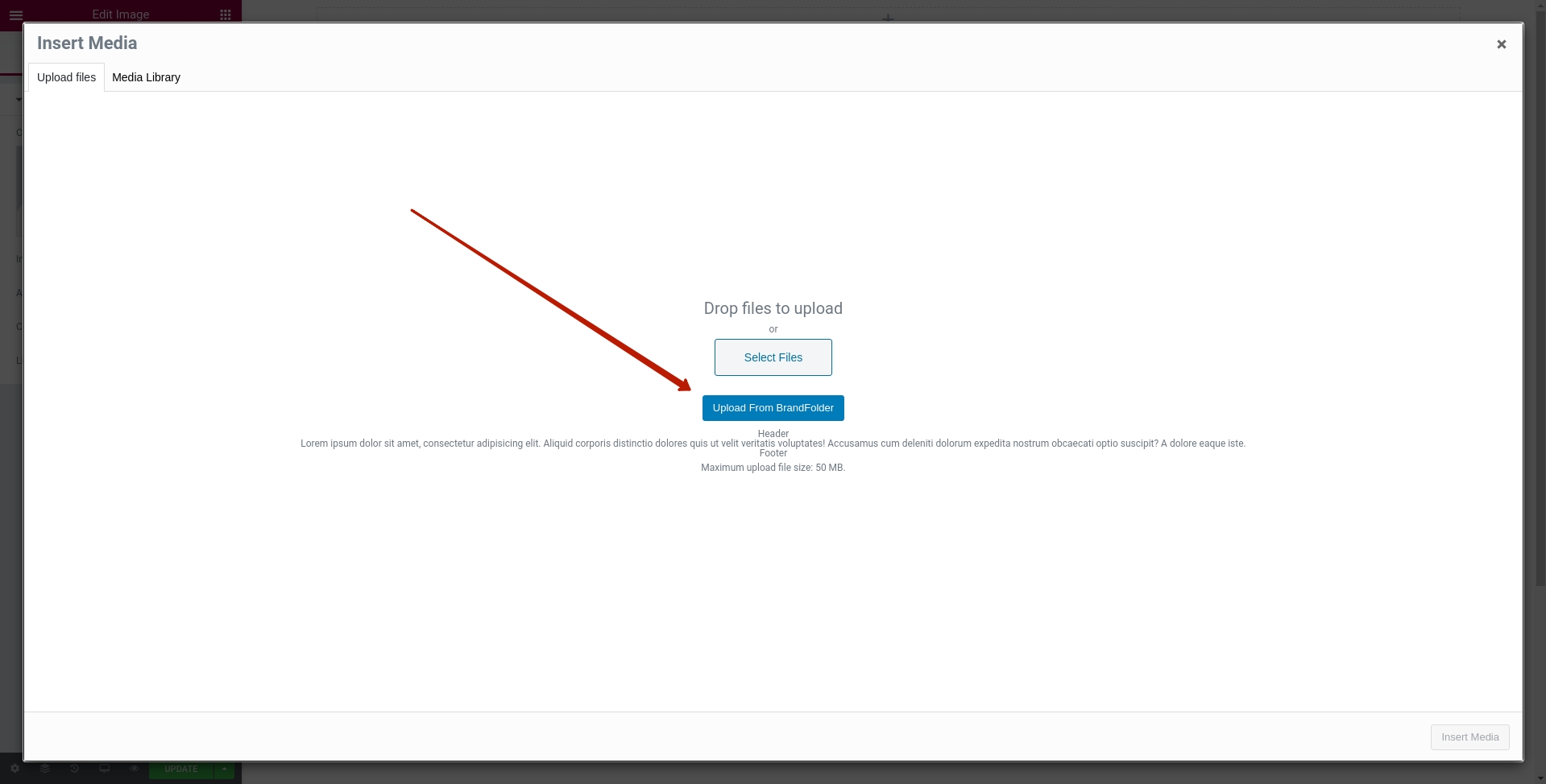 Does elementor work with all themes? Js event does not work in the Elementor plugin | WordPress.org