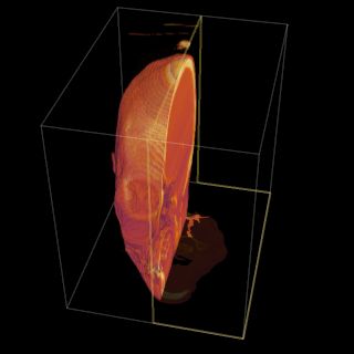 Graphics3d How To Show Solid Bodies Using Volumetric Rendering - Light Images - Incredible Mobile Collection