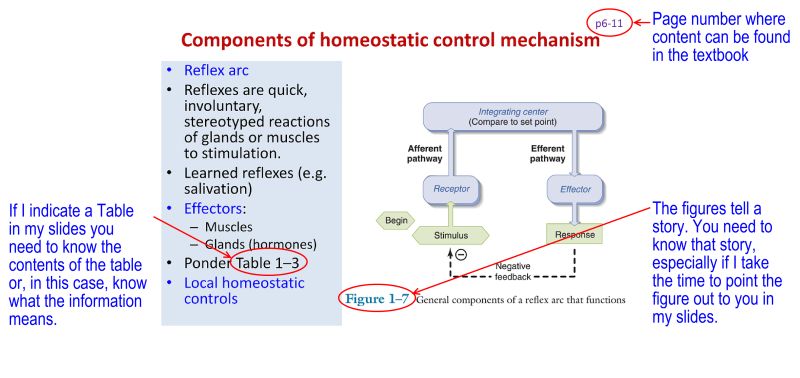 Marginpar Margin Notes Multicols Tikz Overlay Tex Latex Stack - Premium Ocean Illustration Gallery - Desktop