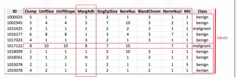 Labeled Vs Unlabeled Data In Machine Learning - Mountain Images - Amazing 4K Collection