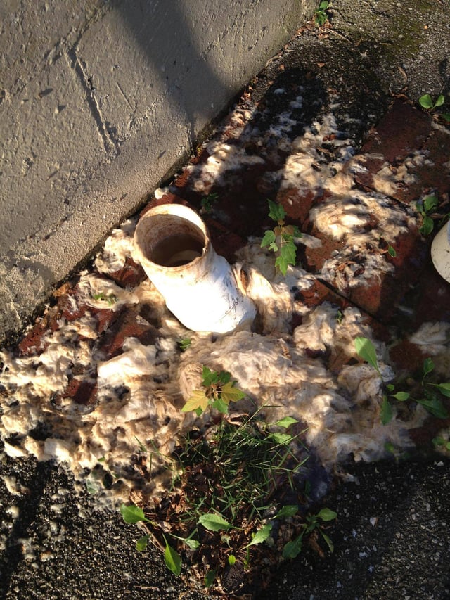 Still, there's a good mix of news outle. plumbing - Why is sewage backing up from this outdoor pipe