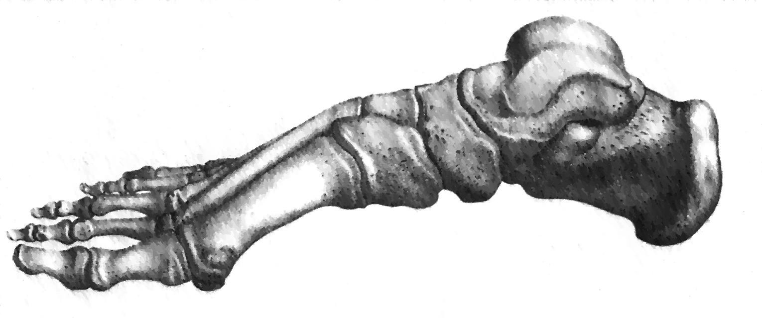 16/09/2021 · to quickly remove a white background in photoshop, select your image layer, then open the properties panel by going to window > properties. adobe photoshop - How to remove gray background on gray