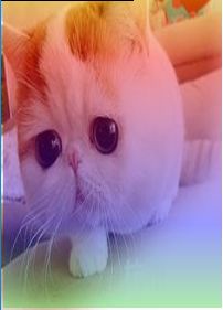 C 4 0 Is It Possible To Combine An Imagebrush With A - Incredible Light Photo - 4K