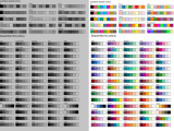 How To Use A Color Palette In R At April Hyde Blog