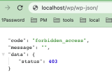 Wordpress Open Wp Json Response With Forbidden Access Stack Overflow