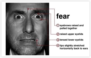 Sacks on his ability, and inability, to recognize faces. psychology - Do involuntary "microexpressions" betray