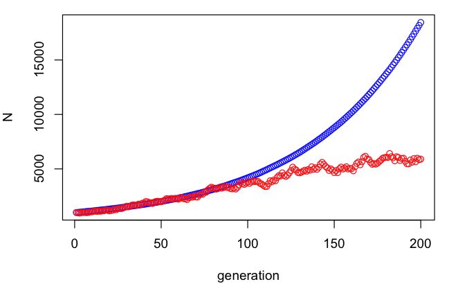 Understanding Selection Coefficient In Genetics - Download Elegant Geometric Photo | High Resolution