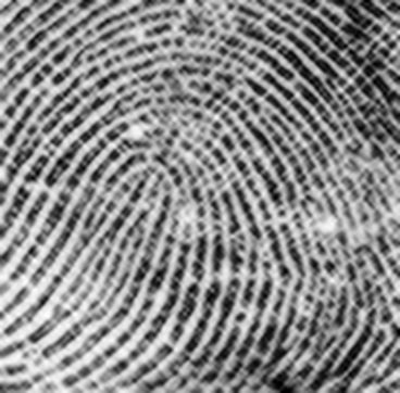 Opencv Gabor Filter Parametrs For Fingerprint Image Enhancement - Best Vintage Photos in HD