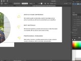 Use Adobe Illustrator With Mouse Lodwet
