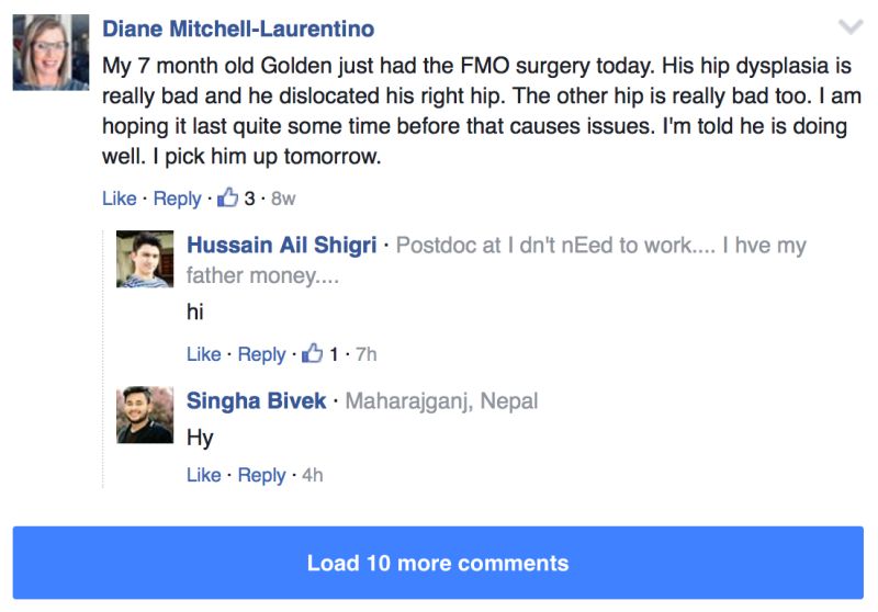 Hide Comments From Pages Membermouse - Stunning 4K Nature Patterns | Free Download