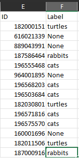 example output